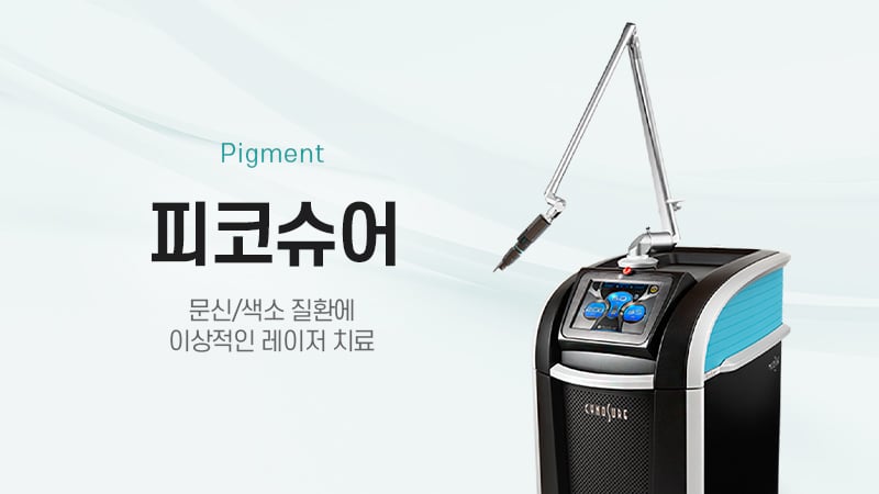 피코슈어