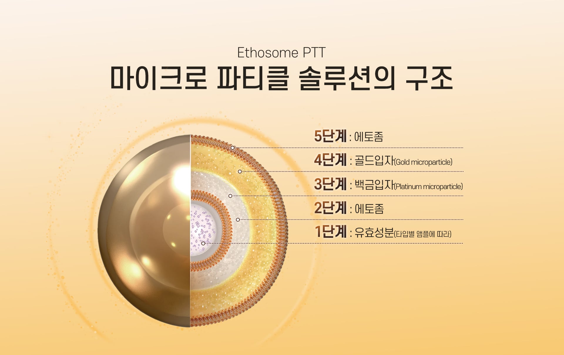 1a77252c84fa